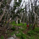Emigrant Peak, Absaroka Range, Montana
