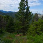 Emigrant Peak, Absaroka Range, Montana