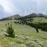 Emigrant Peak, Absaroka Range, Montana