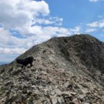 Emigrant Peak, Absaroka Range, Montana