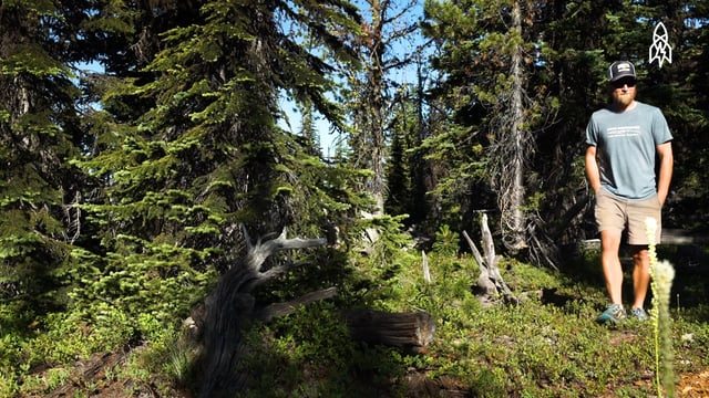 Great Big Story Presents The Lone Lookout: The Man Protecting Montana’s Forests