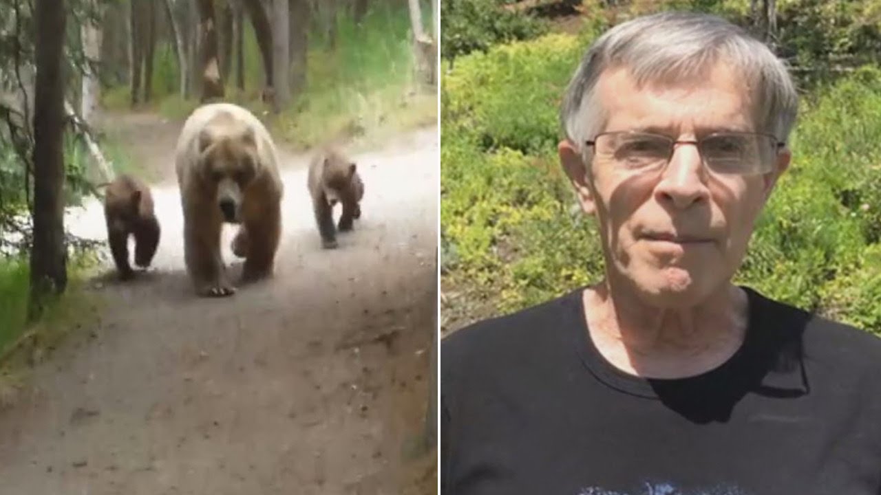 Inside Edition Presents Grizzly Bear Following Hiker In Alaska