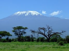 Interesting Facts About Mount Kilimanjaro Kilimanjaro, Tanzania | Pixabay Image