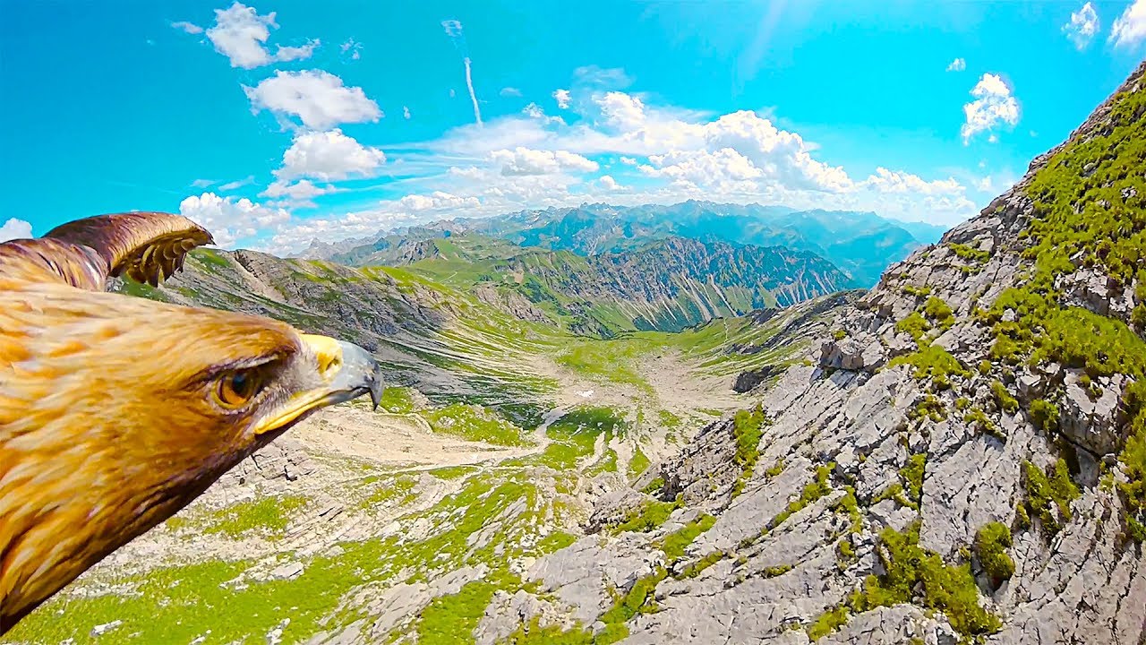 Red Bull Presents Eagle’s Eyes: Breathtaking 4K POV Over The Alps