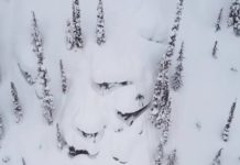 Jonnie Merrill Presents Revy Dreaming