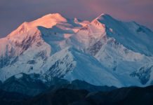 Interesting Facts About Denali Denali | Pixabay Image