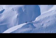 We Are Explorers Presents My Wild Home