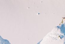 Red Bull Presents Sweet & Sour Trailer