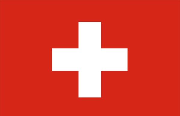 Avalanche Kills Skier Near Niesen In Bern, Switzerland Switzerland Flag