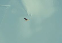 Sane! Presents Don’t You Find Full Movie