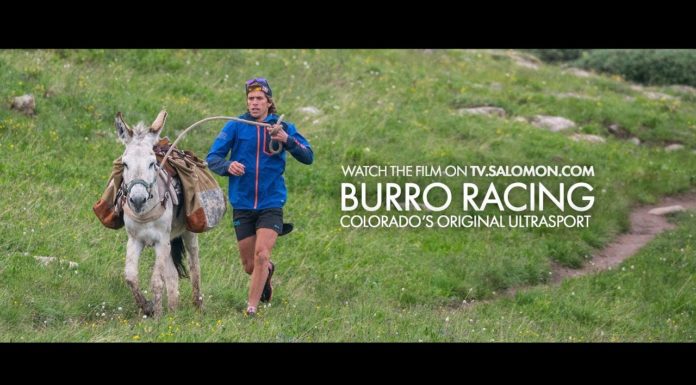 Salomon TV Presents Burro