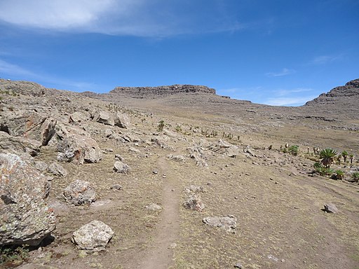 Ras Dashen, Ethiopia | By Florian Fell [<a href="https://creativecommons.org/licenses/by-sa/3.0">CC BY-SA 3.0</a>], <a href="https://commons.wikimedia.org/wiki/File:Ras_Dejen_Summit.JPG">from Wikimedia Commons</a>