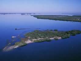 What Is The Smallest Wilderness Area In The United States? By Gentry, George (U.S. Fish and Wildlife Service) - http://images.fws.gov, Public Domain, Link