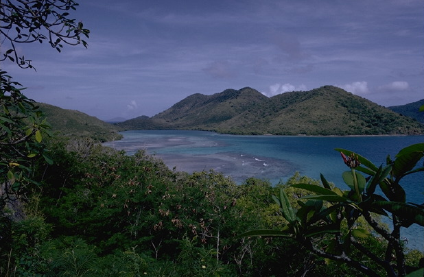 Virgin Islands National Park | See page for author [Public domain], via Wikimedia Commons