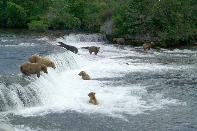 Katmai National Park, Alaska | Pixabay Image