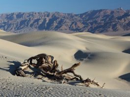 10 Largest Wilderness Areas In The Lower 48 Death Valley | Pixabay Image