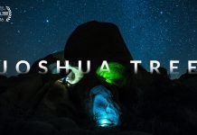 More Than Just Parks Presents Joshua Tree 4K