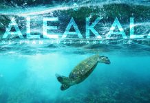 More Than Just Parks Presents Haleakala 8K