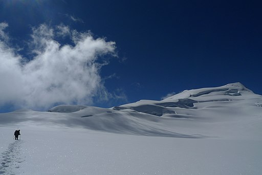 Chachacomani, Bolivia | By Geoarte2017 [CC BY-SA 4.0], from Wikimedia Commons