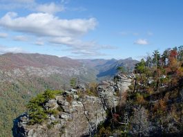 North Carolina Wilderness Areas – List & Map Linville Gorge, North Carolina | Pixabay Image