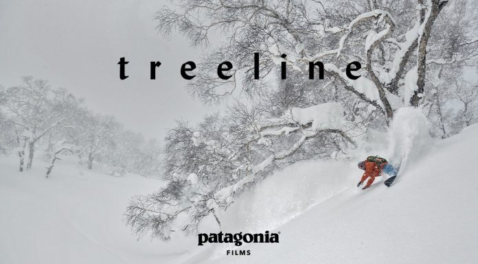Patagonia Presents Treeline: A Story Written In Rings