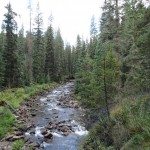 South Fork of the West Fork of the Gallatin River