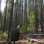 lee metcalf wilderness