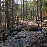 Lava Lake stream crossing