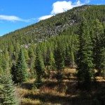 meadows cascade creek