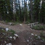 Golden Trout Lakes Trail