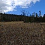 Golden Trout Lakes Trail