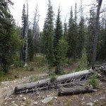Golden Trout Lakes Trail