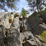 foxtrot gallatin canyon