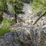 foxtrot gallatin canyon