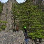 foxtrot gallatin canyon