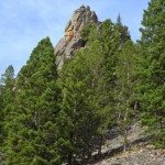 foxtrot gallatin canyon