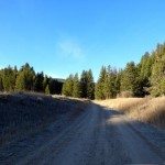 Cinnamon Mountain Lookout Trail