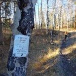 Cinnamon Mountain Lookout Trail