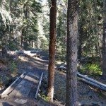 Cinnamon Mountain Lookout Trail