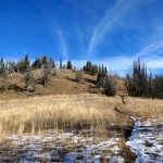 Cinnamon Mountain Lookout Trail
