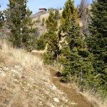 Cinnamon Mountain Lookout Trail