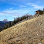 Cinnamon Mountain Lookout Trail