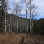 Cinnamon Mountain Lookout Trail