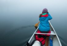 The Sleeping Giant – Backyard Roots