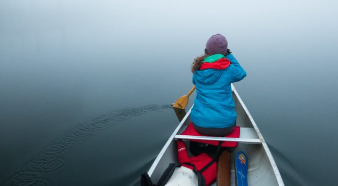 The Sleeping Giant – Backyard Roots