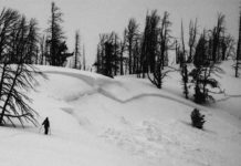 Patience Is A Virtue – Backyard Roots