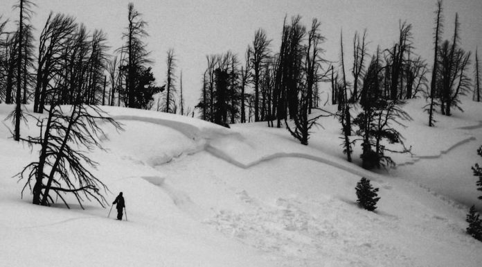 Patience Is A Virtue – Backyard Roots