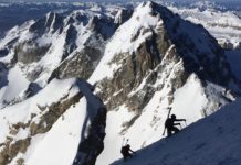 The Social Media Factor – Backyard Roots