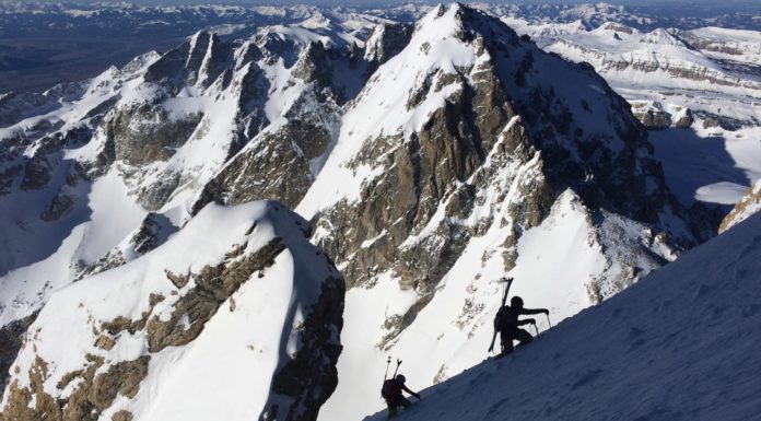 The Social Media Factor – Backyard Roots