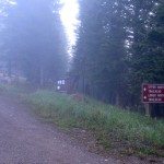 north fork trailhead